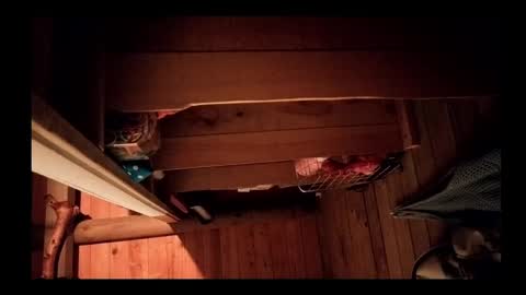 Snapshot of vickyvalencia2 chatting on May 2026 05:16:02 AM vickyvalencia2 online show from May 2026 05:16:02 AM