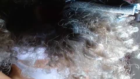 VICKY online show from February 2025 03:54:01 AM