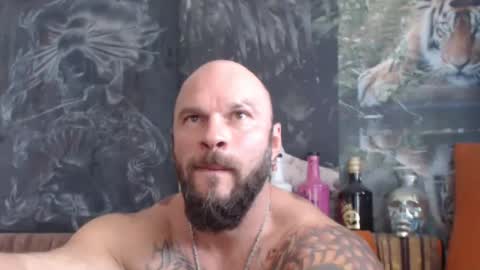 viking online show from September 2025 07:08:01 AM