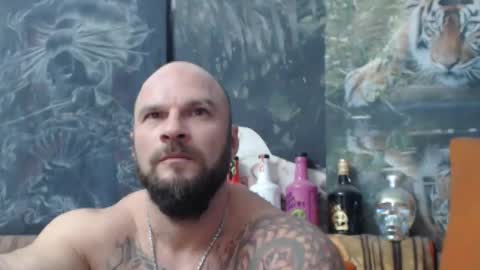 viking online show from October 2025 07:04:02 PM