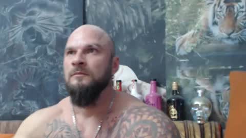 viking online show from November 2025 08:08:01 PM