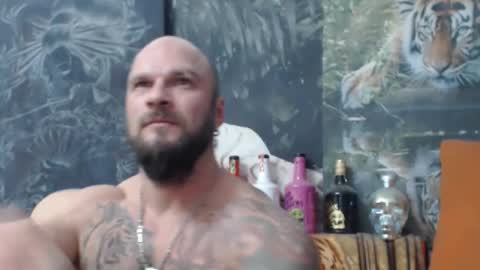 viking online show from November 2025 07:32:02 PM