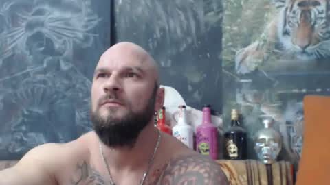 viking online show from November 2025 07:41:02 PM