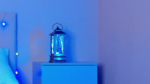 VIKKI online show from December 2024 06:27:01 PM