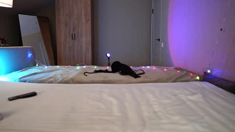 VIKKI online show from December 2025 09:05:02 AM