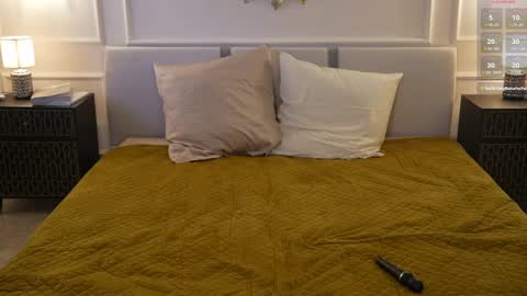 Snapshot of viktoria_storm chatting on February 2025 06:31:01 AM Alisa online show from February 2025 06:31:01 AM