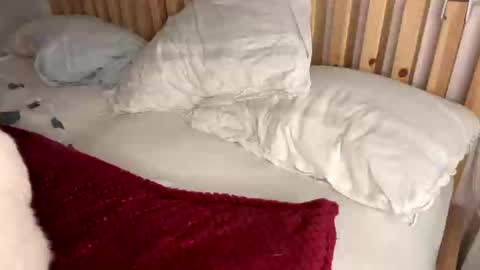 Vince online show from February 2025 10:23:02 PM