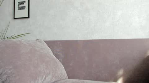 Vincent.  uncut 18cm online show from September 2025 11:32:02 AM