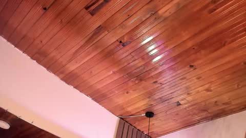 Violet online show from March 2026 02:11:01 AM