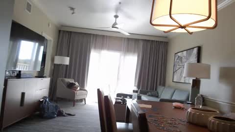 Violet Hooper online show from January 2026 04:34:02 PM