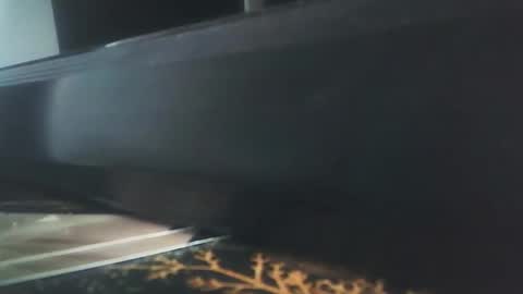 Snapshot of vip_90_daniele chatting on December 2025 10:54:02 AM vip_90_daniele online show from December 2025 10:54:02 AM