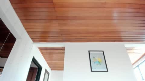 Vito Ferrer online show from January 2026 12:42:02 PM