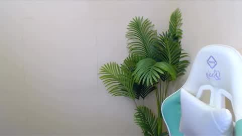 Vivien online show from December 2024 06:36:01 AM