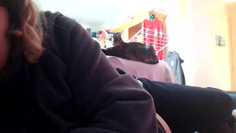 voetbal30 online show from January 2026 11:59:02 AM