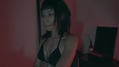 vortexspecter online show from February 2026 09:33:01 PM