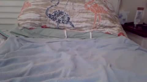 vwjim26 online show from September 2025 04:00:02 PM