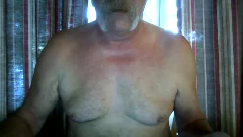 wahassa online show from July 2026 11:19:02 AM