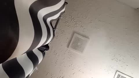 wanttowatch87 online show from February 2025 07:34:02 AM