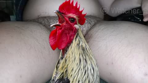 classified online show from December 2024 08:15:01 PM