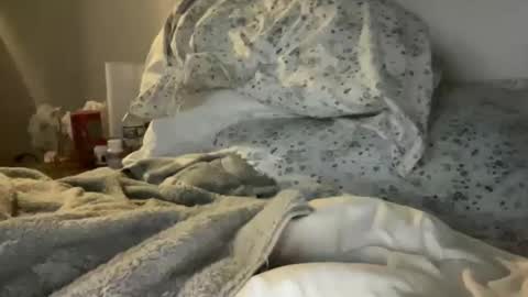 waveonce online show from March 2026 11:32:01 AM