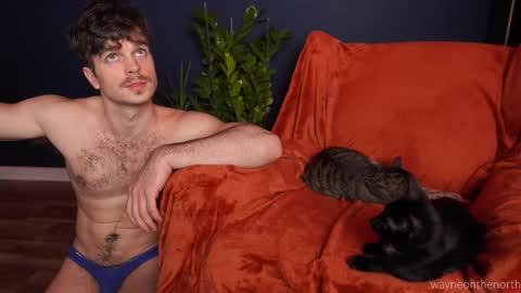 waynenorth online show from November 2025 04:39:02 PM