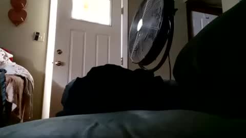 Snapshot of welldny chatting on September 2025 05:58:01 PM welldny online show from September 2025 05:58:01 PM