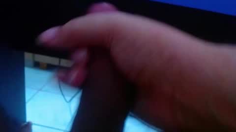 wellingtont online show from February 2026 06:15:02 PM