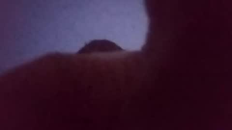 welshvalleys9292 online show from November 2025 03:30:02 AM