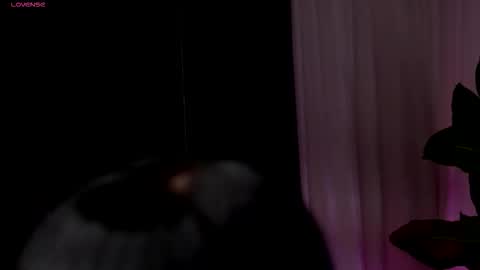 Wendy online show from February 2026 09:55:02 PM