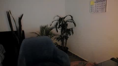 Snapshot of west_ta chatting on September 2025 11:09:02 PM tatty online show from September 2025 11:09:02 PM