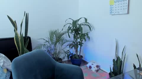 Snapshot of west_ta chatting on September 2025 05:40:02 PM tatty online show from September 2025 05:40:02 PM