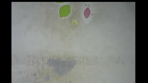 Bella online show from November 2025 12:53:01 AM