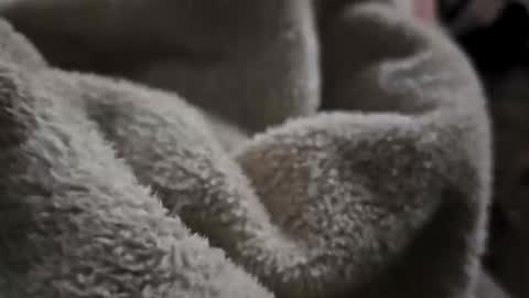 what_whaaat online show from November 2025 09:11:01 AM