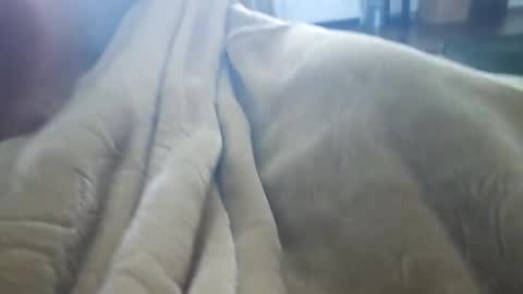 what_whaaat online show from November 2025 09:16:02 PM