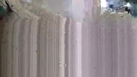 what_whaaat online show from November 2025 06:17:01 PM