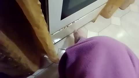 whatcdog12118 online show from May 2026 10:59:01 PM