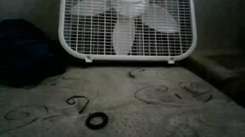 Snapshot of whiteexcalibur808 chatting on May 2026 07:11:01 PM whiteexcalibur808 online show from May 2026 07:11:01 PM