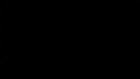 whitehead_lion online show from February 2025 07:02:01 PM