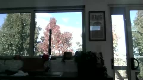 whitepantyman1973 online show from April 2026 03:10:01 AM