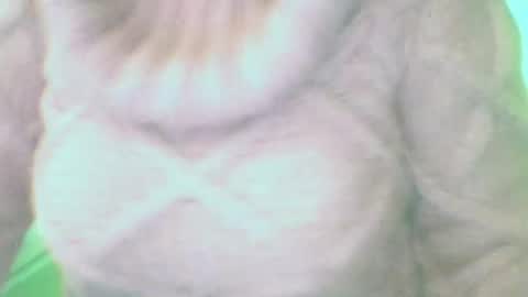 whitesweater online show from March 2025 07:32:01 AM