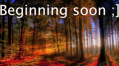 Wiedz online show from January 2025 11:06:01 PM