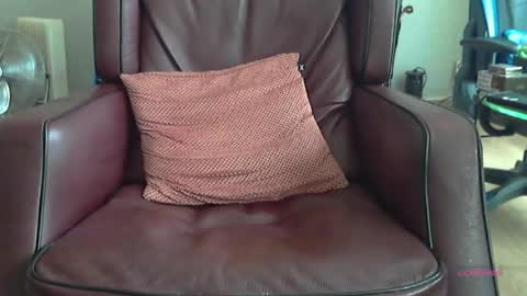 Snapshot of wilbert31 chatting on June 2026 07:44:02 AM wilbert online show from June 2026 07:44:02 AM