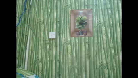 loving trans Pamela online show from December 2024 06:01:01 AM