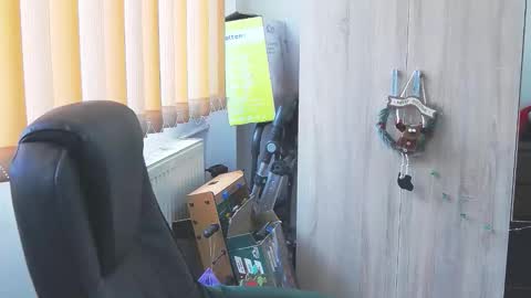 Snapshot of wildbea23 chatting on December 2025 11:16:02 AM Bea online show from December 2025 11:16:02 AM