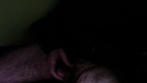 Snapshot of wildealexyz chatting on December 2024 09:17:01 AM WildeAlex online show from December 2024 09:17:01 AM