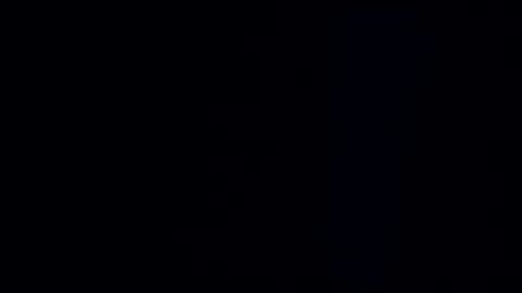 wildman3845 online show from December 2024 11:23:02 AM