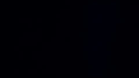 wildman3845 online show from December 2024 11:59:01 AM