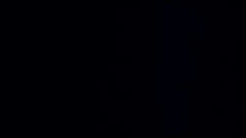 wildman3845 online show from January 2025 11:54:01 AM