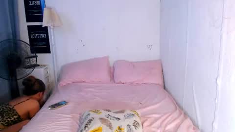 shea online show from August 2026 05:50:02 AM