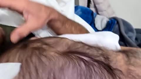 willing_joeking online show from October 2025 11:54:02 AM